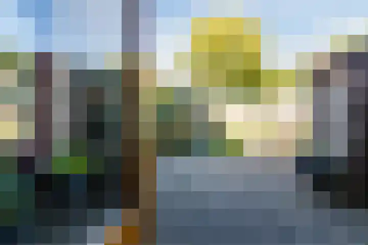 Gruttersdreef 210 Apeldoorn thumbnail 43