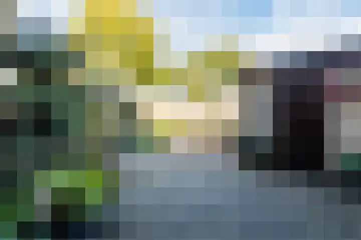 Gruttersdreef 210 Apeldoorn thumbnail 44