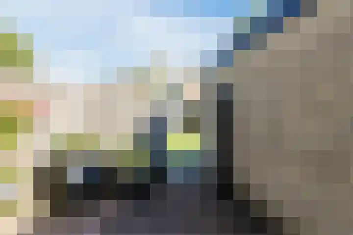 Gruttersdreef 210 Apeldoorn thumbnail 47