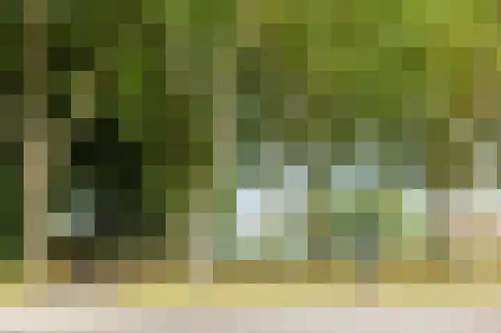 Gruttersdreef 210 Apeldoorn thumbnail 52