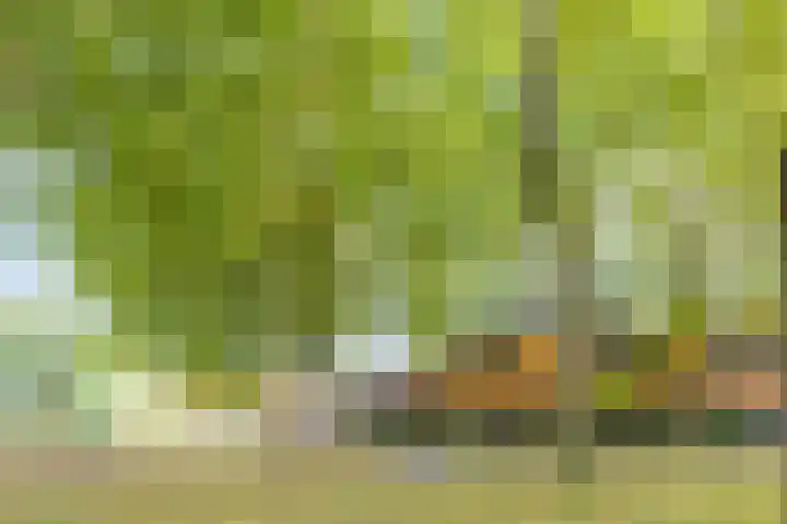 Gruttersdreef 210 Apeldoorn thumbnail 53