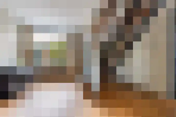 Gruttersdreef 211 Apeldoorn thumbnail 19