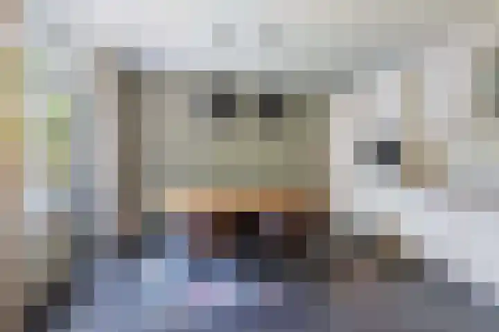 Gruttersdreef 211 Apeldoorn thumbnail 20