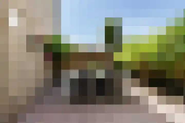Gruttersdreef 211 Apeldoorn thumbnail 24