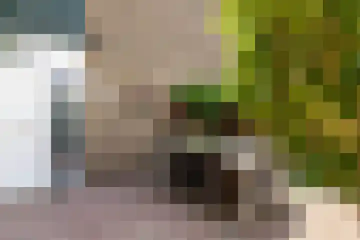 Gruttersdreef 211 Apeldoorn thumbnail 25