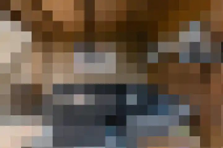 Gruttersdreef 211 Apeldoorn thumbnail 30