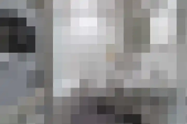 Gruttersdreef 211 Apeldoorn thumbnail 39