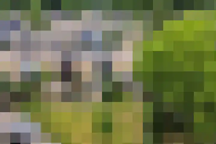 Gruttersdreef 211 Apeldoorn thumbnail 43