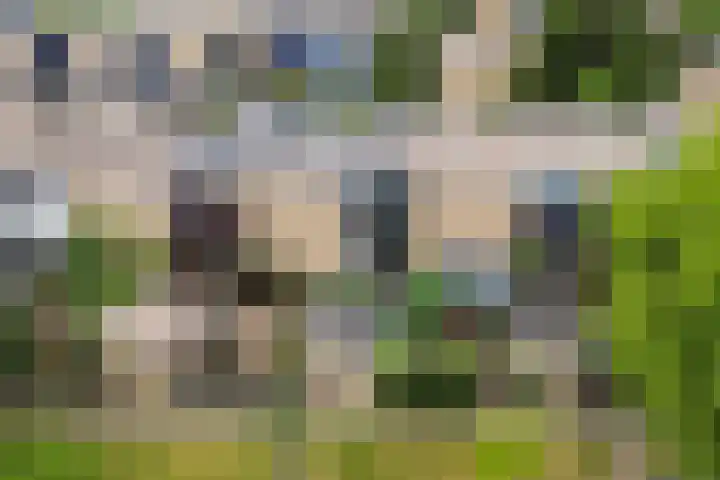Gruttersdreef 211 Apeldoorn thumbnail 44