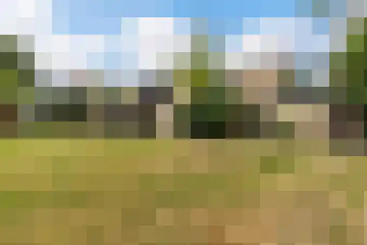 Gruttersdreef 211 Apeldoorn thumbnail 45