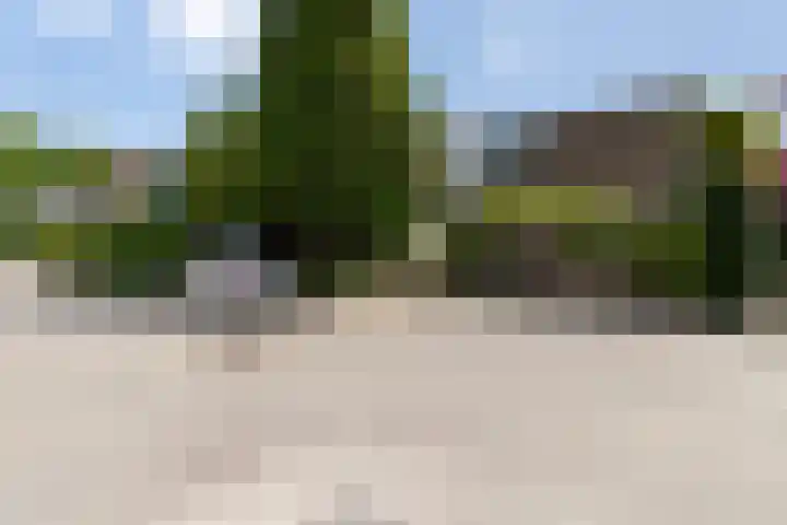 Gruttersdreef 211 Apeldoorn thumbnail 6