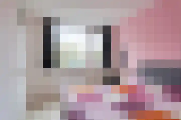 Gruttersdreef 409 Apeldoorn thumbnail 15