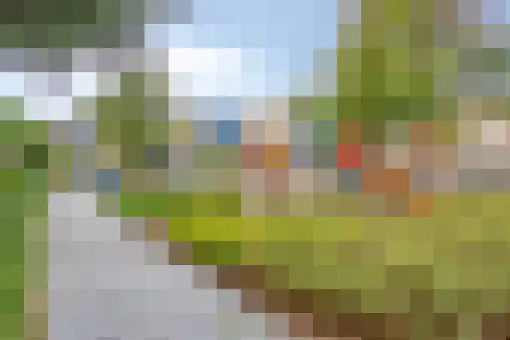 Gruttersdreef 409 Apeldoorn thumbnail 26