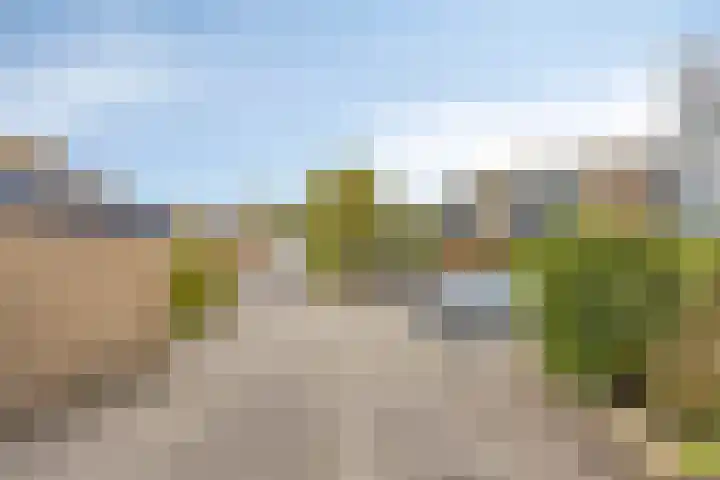 Gruttersdreef 409 Apeldoorn thumbnail 27
