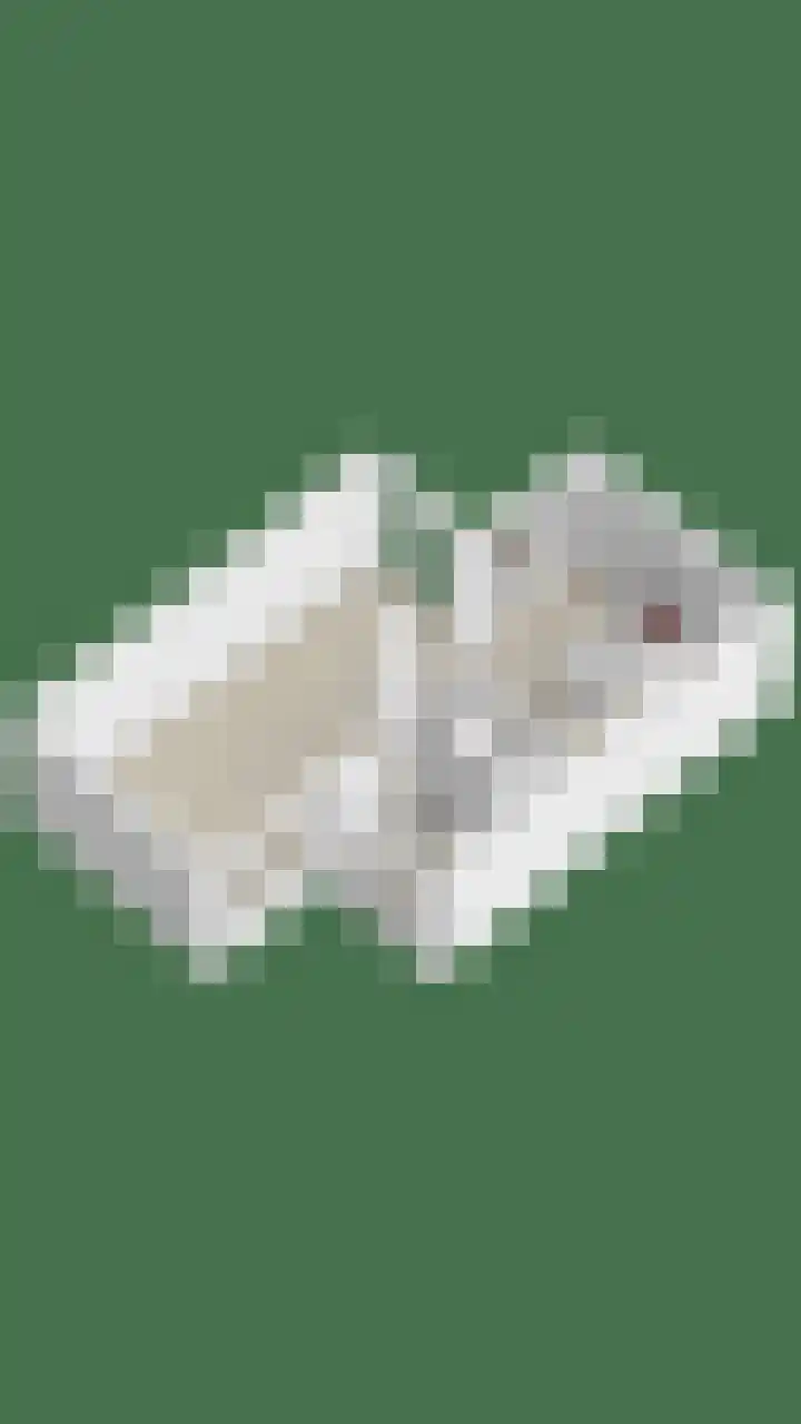 Gruttersdreef 409 Apeldoorn thumbnail 33