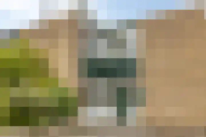 Gruttersdreef 409 Apeldoorn thumbnail 4