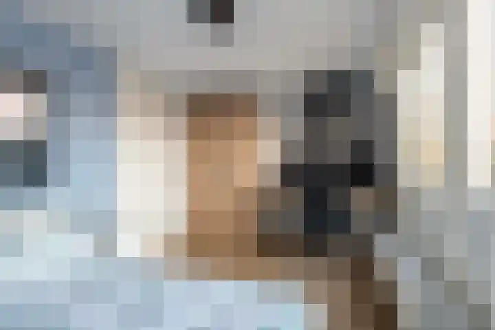 Gruttersdreef 531 Apeldoorn thumbnail 28