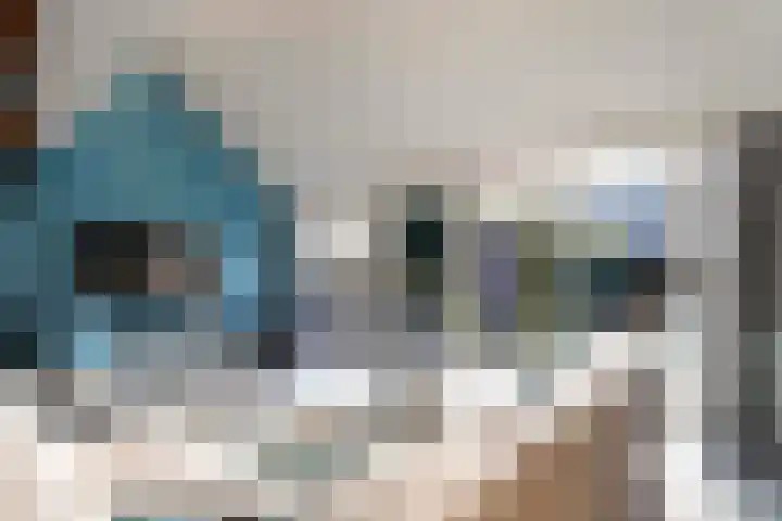 Gruttersdreef 531 Apeldoorn thumbnail 8