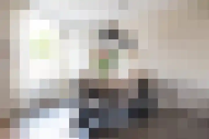 Gruttersdreef 613 Apeldoorn thumbnail 13