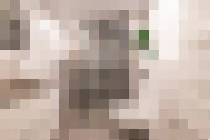 Gruttersdreef 613 Apeldoorn thumbnail 22