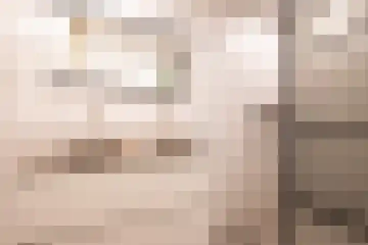 Gruttersdreef 613 Apeldoorn thumbnail 23
