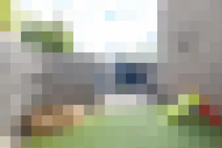 Gruttersdreef 613 Apeldoorn thumbnail 28