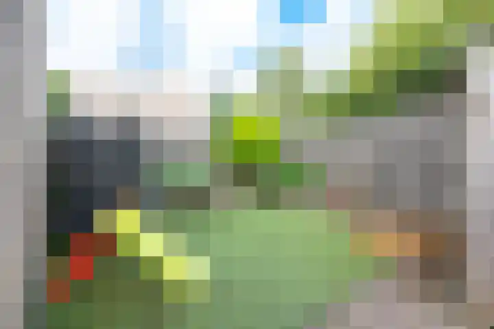 Gruttersdreef 613 Apeldoorn thumbnail 29