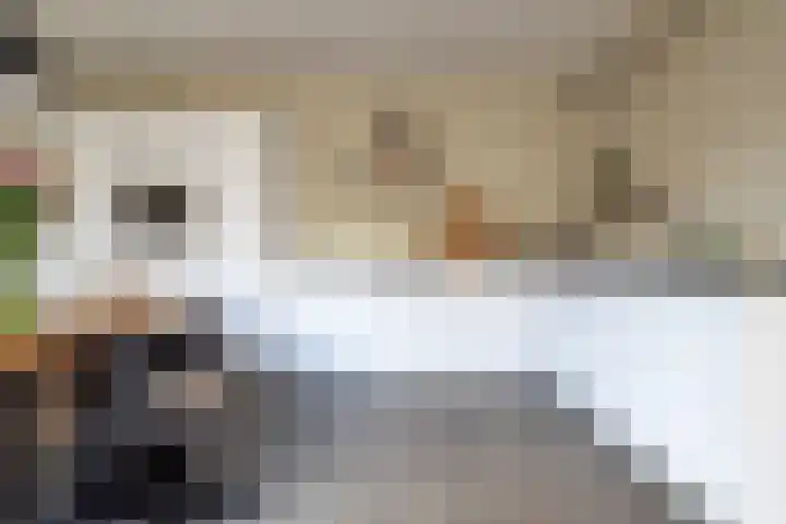 Gruttersdreef 613 Apeldoorn thumbnail 4