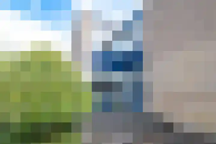 Gruttersdreef 613 Apeldoorn thumbnail 5
