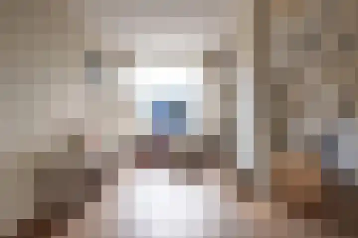 Gruttersdreef 613 Apeldoorn thumbnail 9