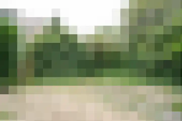 Gruttershof 1 Gorinchem thumbnail 16
