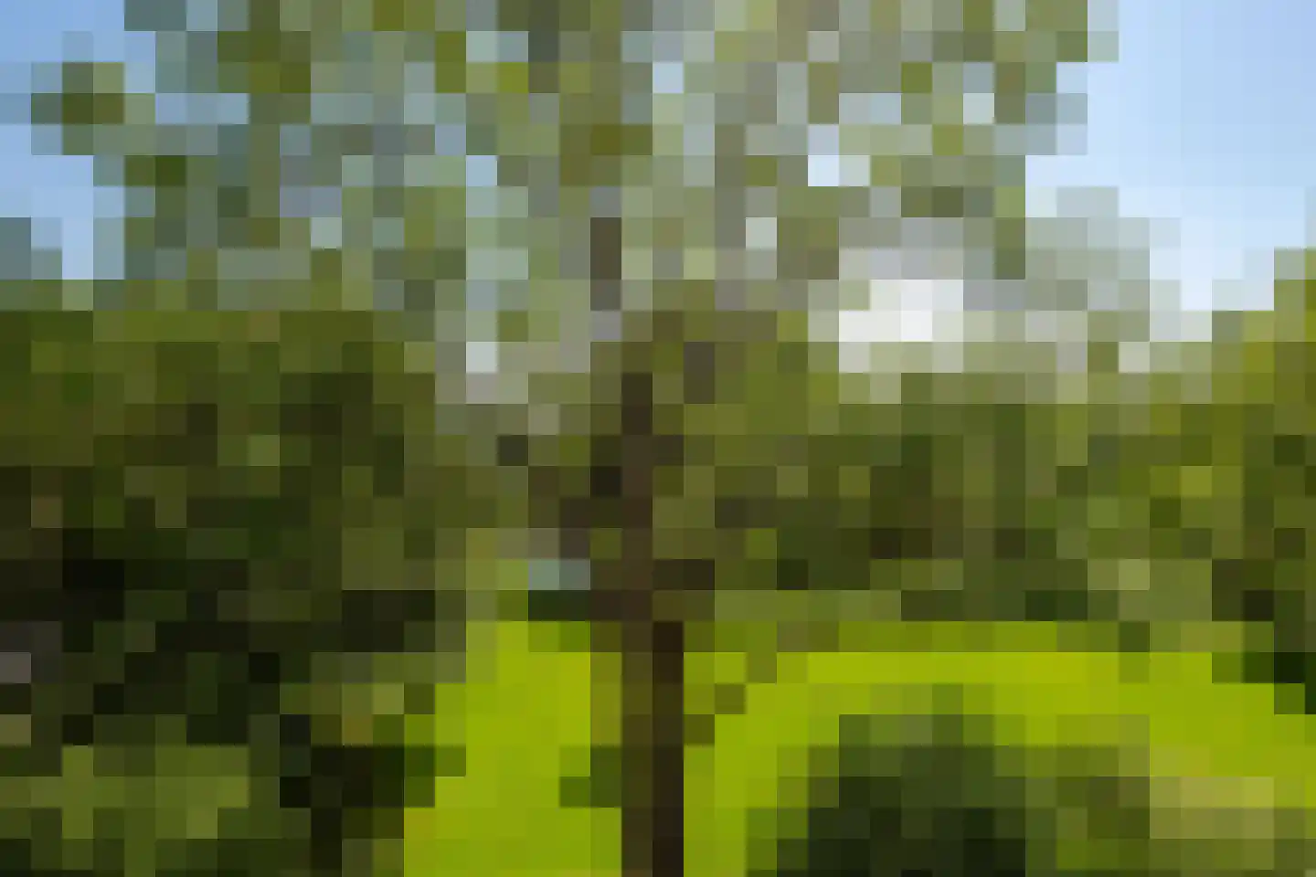 Gruttershof 15 Gorinchem thumbnail 22