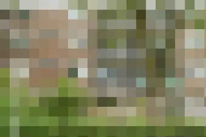 Gruttershof 35 Gorinchem thumbnail 33