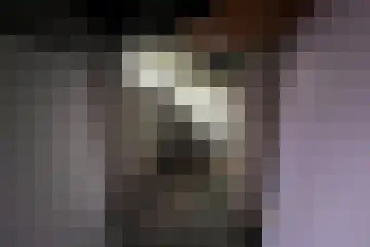 Gruttershof 83 Gorinchem thumbnail 23