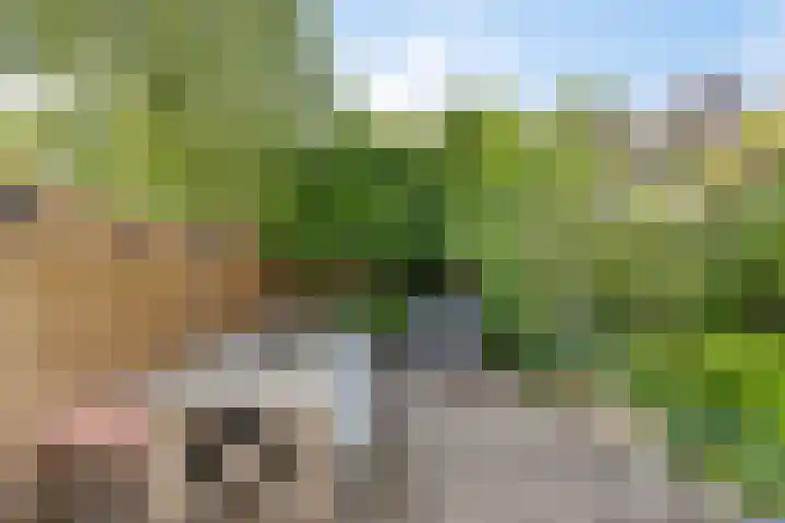 Grutterstraat 3 Rhenen thumbnail 5