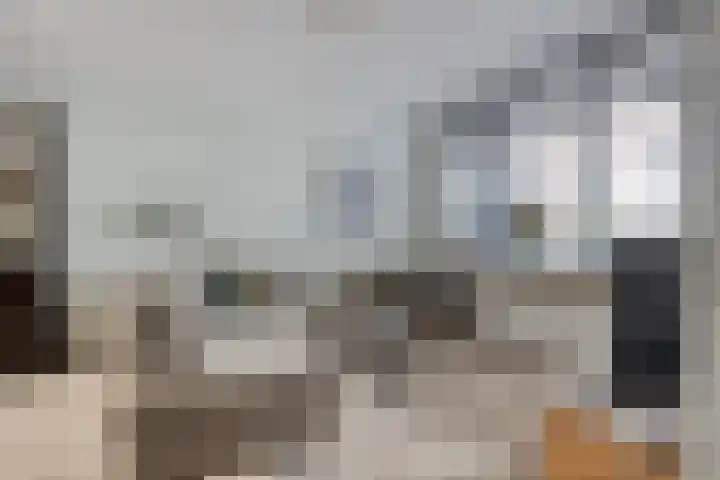 Grutterstraat 3 Rhenen thumbnail 8