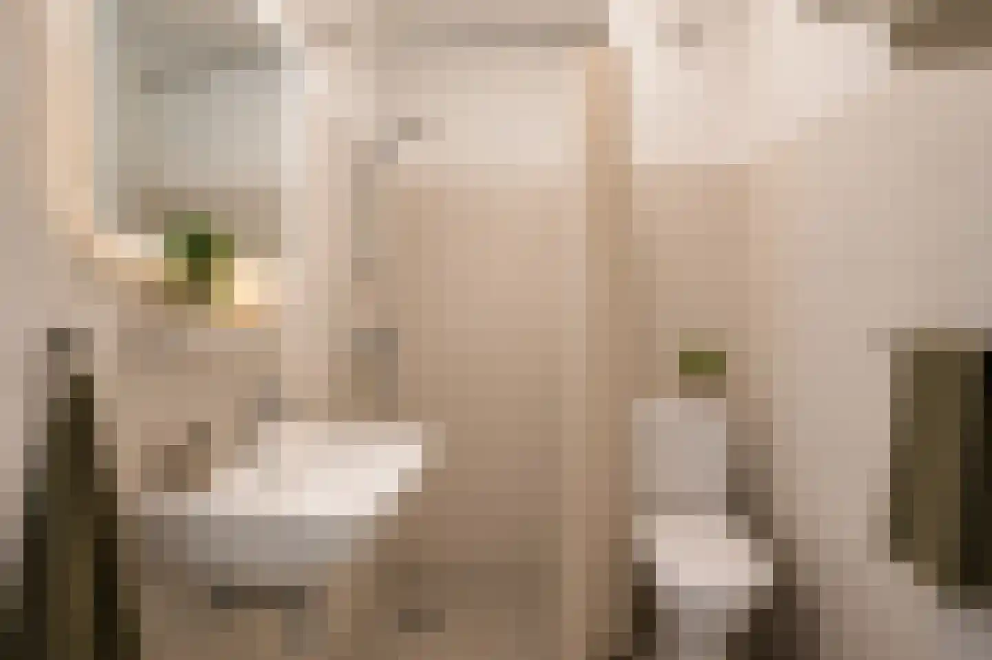 Gruttersveld 7 001 Wehl thumbnail 11