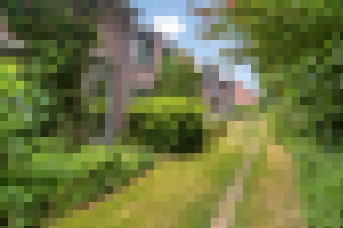 Gruttersveld 7 001 Wehl thumbnail 12