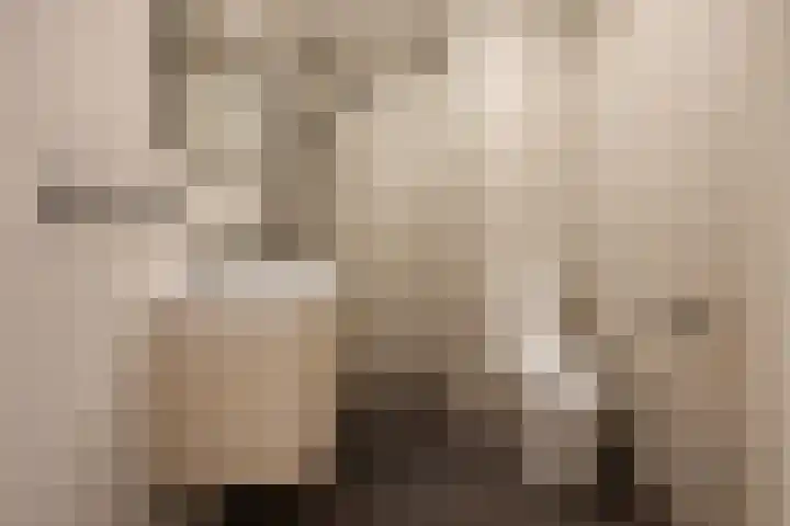 Gruttersveld 7 001 Wehl thumbnail 12