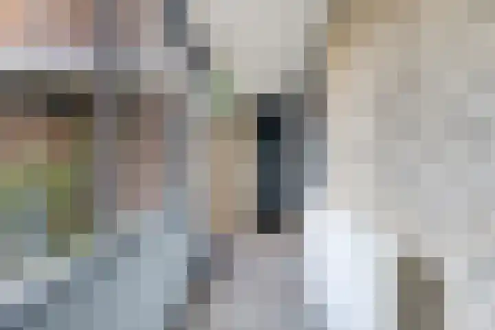 Gruttersveld 7 001 Wehl thumbnail 13