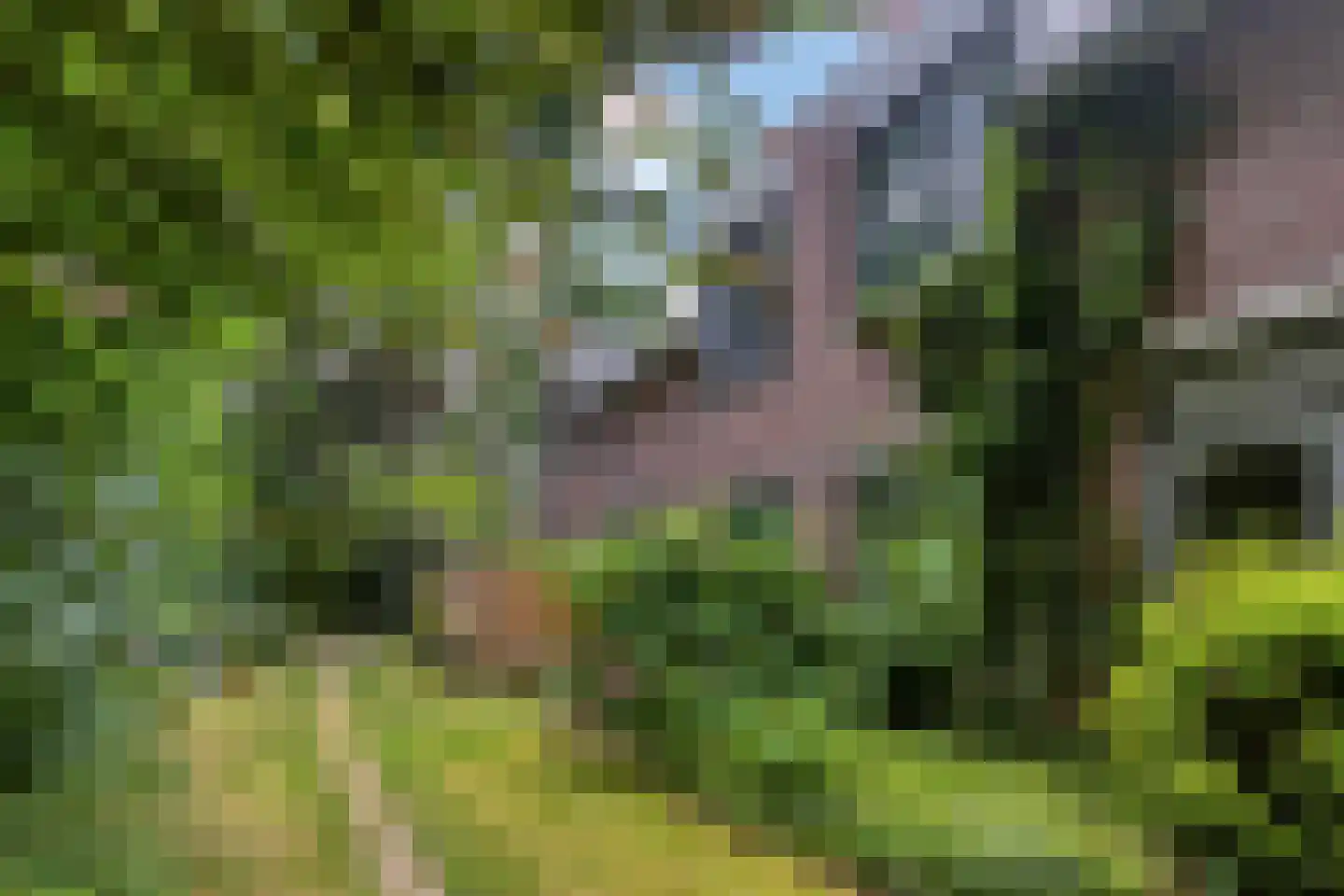 Gruttersveld 7 001 Wehl thumbnail 13