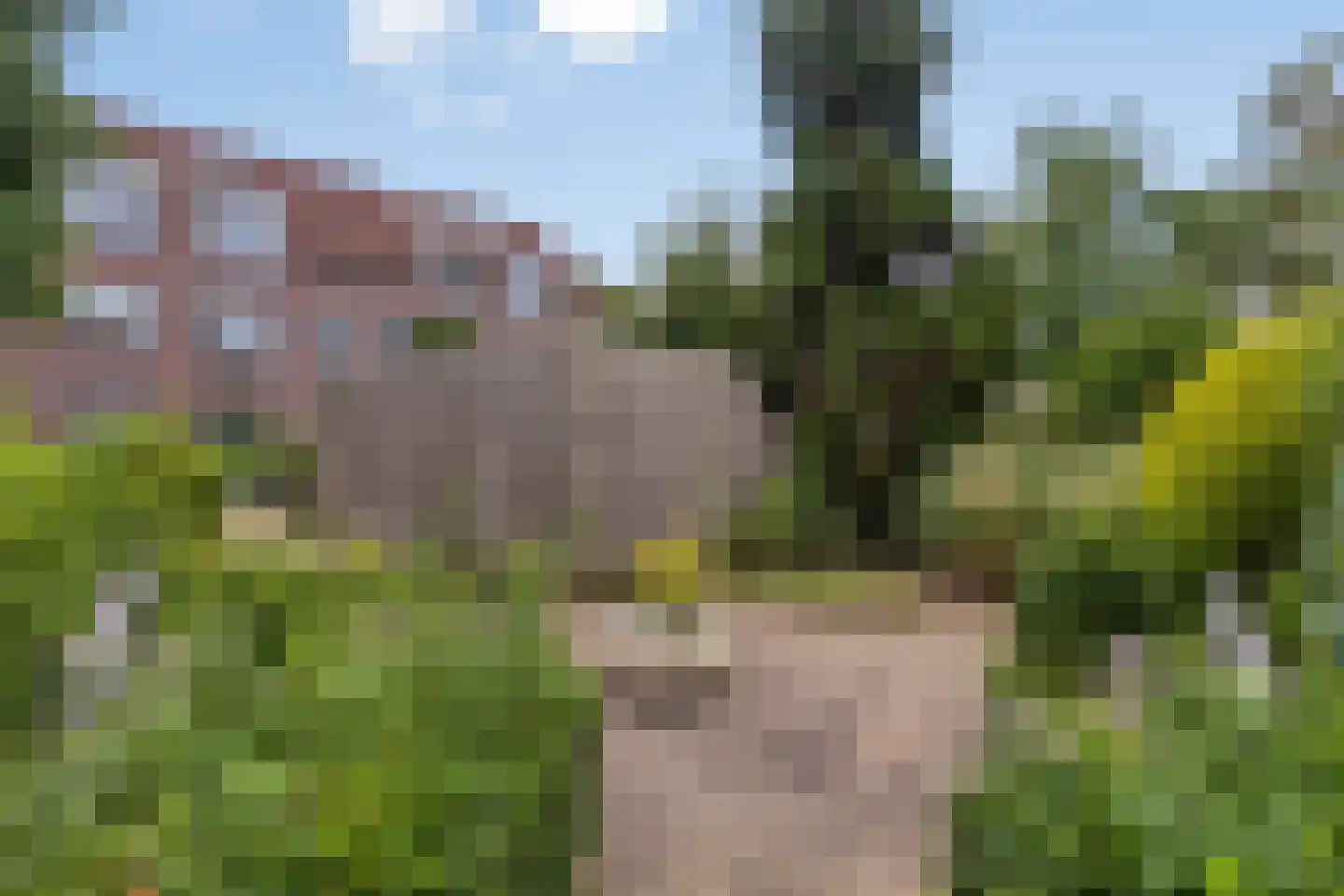 Gruttersveld 7 001 Wehl thumbnail 14