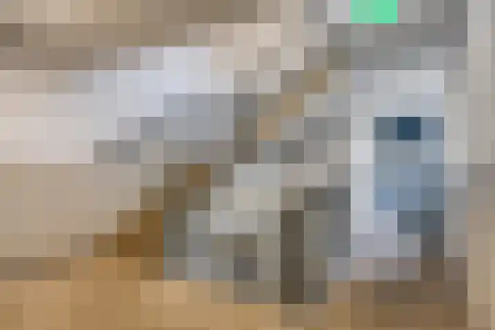Gruttersveld 7 001 Wehl thumbnail 16