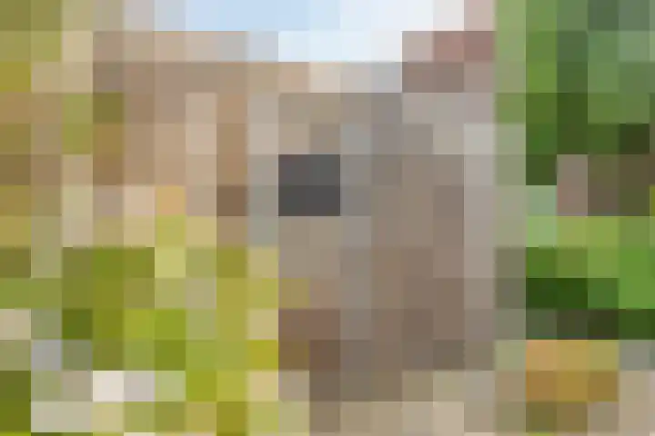 Gruttersveld 7 001 Wehl thumbnail 16