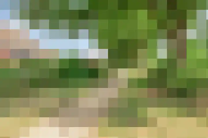 Gruttersveld 7 001 Wehl thumbnail 19