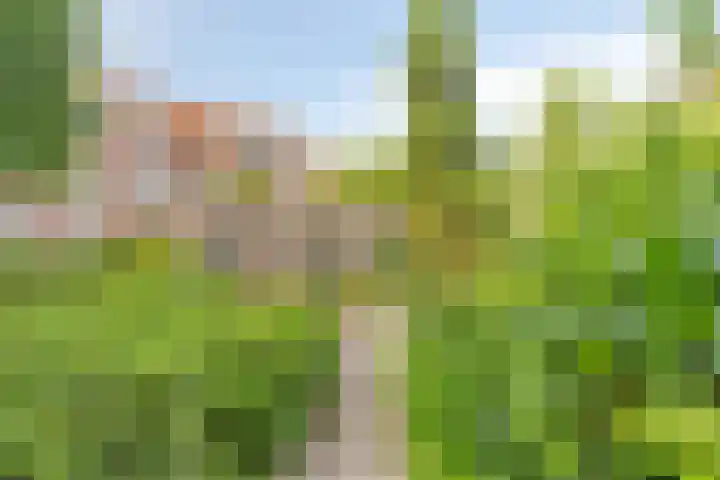 Gruttersveld 7 001 Wehl thumbnail 5