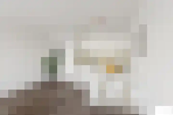 Gruttersveld 7 001 Wehl thumbnail 9