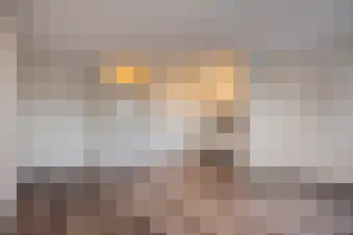 Gruttersveld 7 140 Wehl thumbnail 4