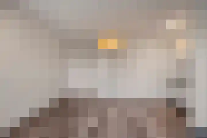 Gruttersveld 7 140 Wehl thumbnail 6
