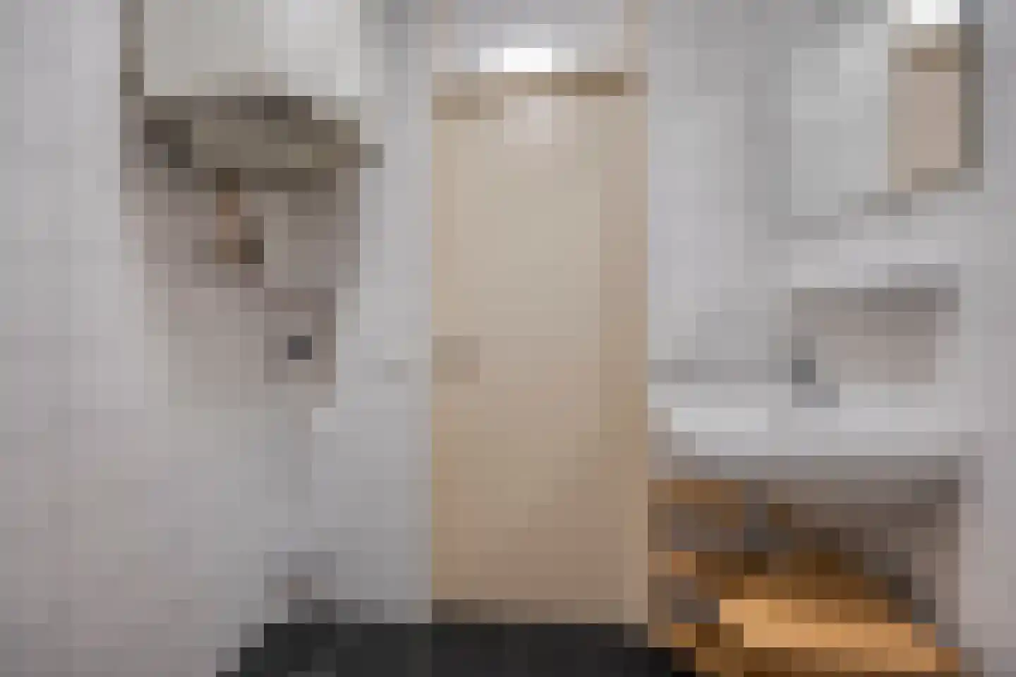 Gruttersveld 7 149 Wehl thumbnail 12
